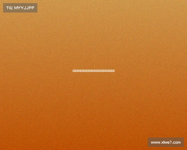 中国女排勇夺全球顶级赛事最高排名书写体育辉煌历史新篇章